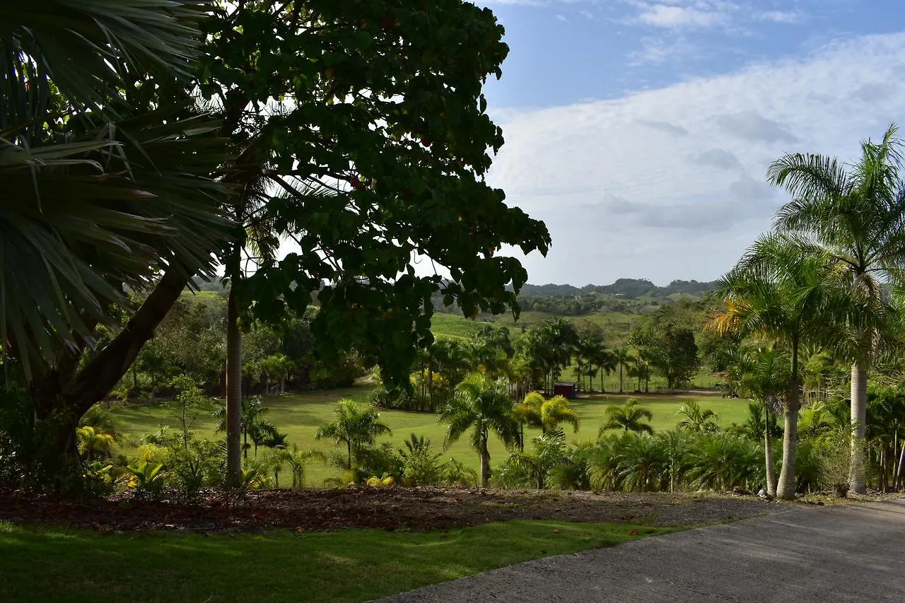 Hotel Hacienda Agroturistico Vista Hermosa Camuy